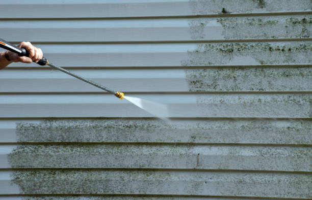 Best Commercial Mold Removal  in Holly Ridge, NC