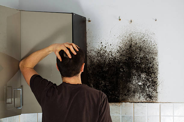 Water Damage Restoration in Holly Ridge, NC